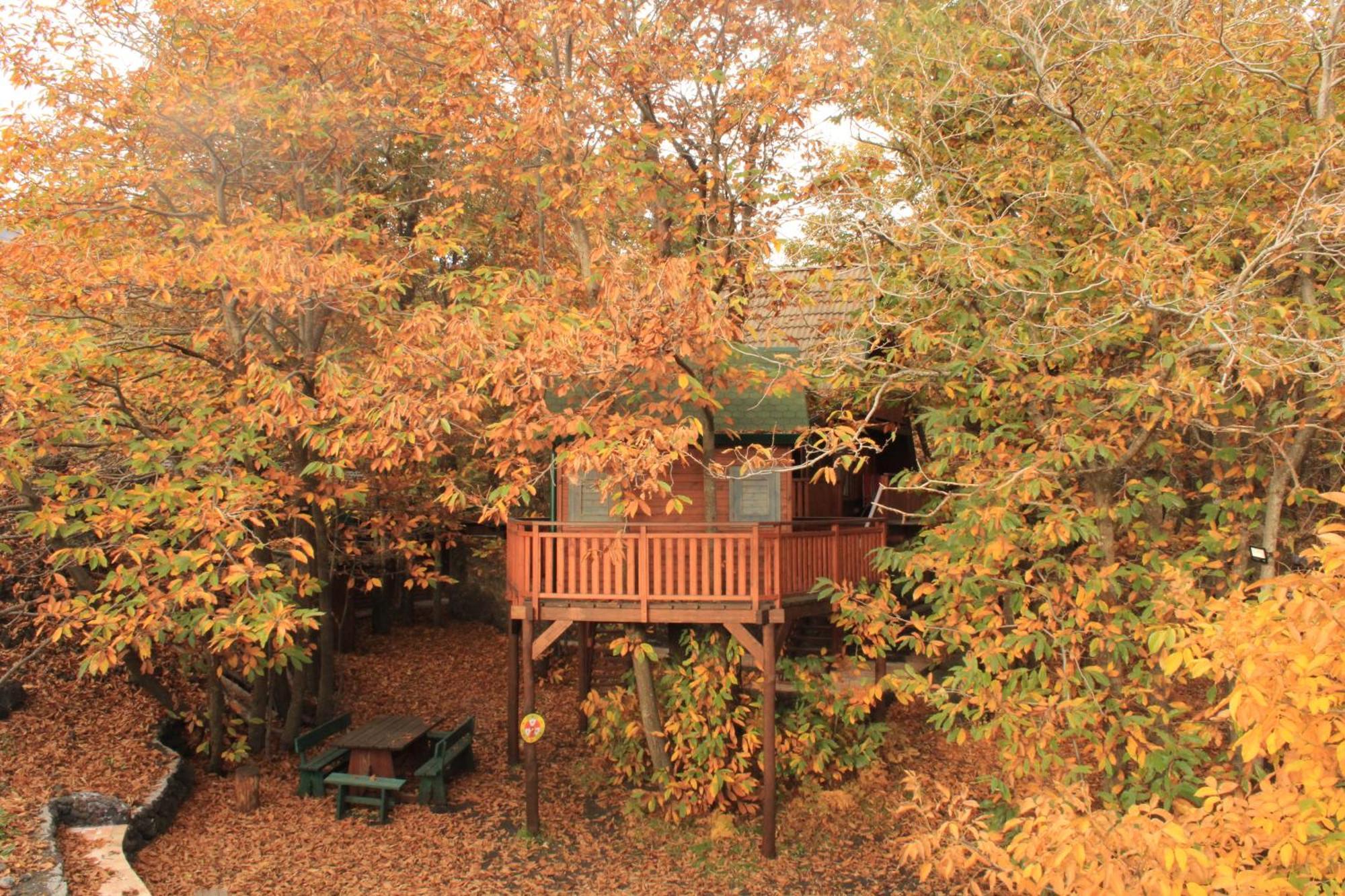 Matilde'S Chalet Etna Nature House Nicolosi Exterior foto
