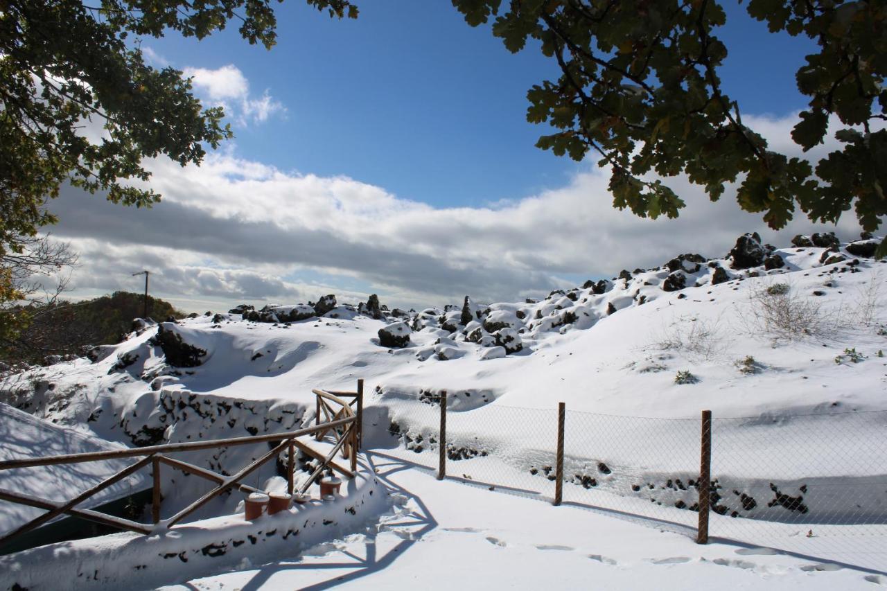 Matilde'S Chalet Etna Nature House Nicolosi Exterior foto